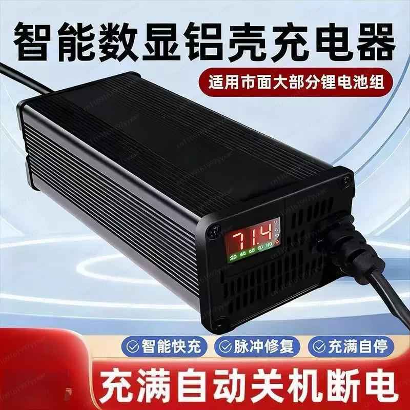 48V 60V 72V Smart LiFePO4 Li-i - 72V 15A Fast Charger review and price